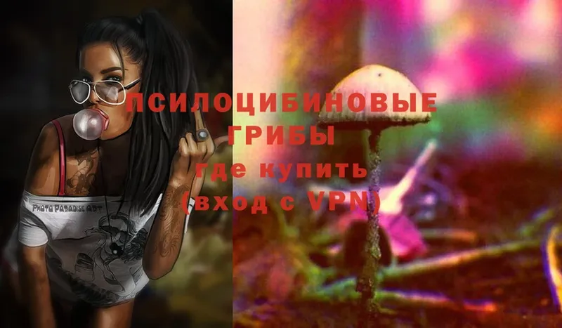 Галлюциногенные грибы Magic Shrooms  Дубовка 